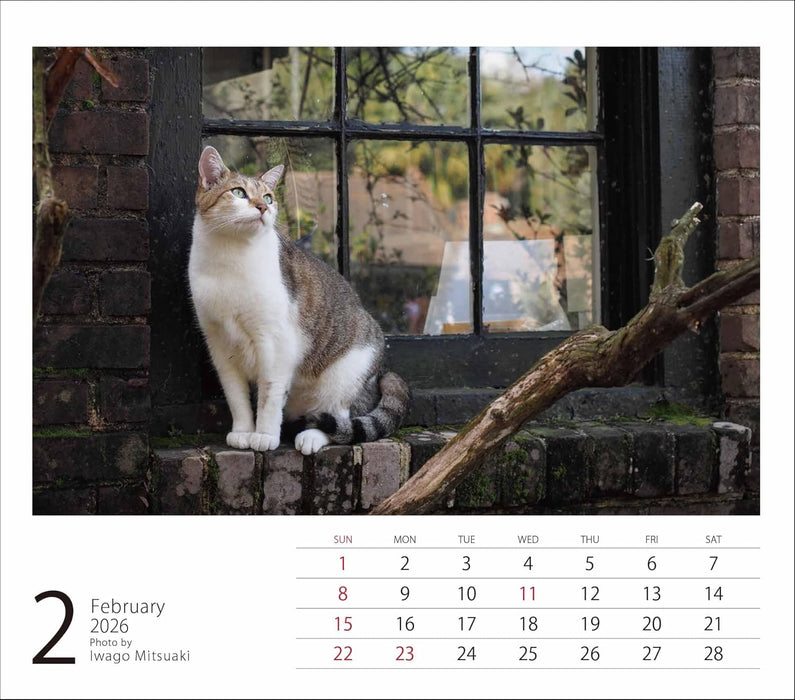 2026 Mini Calendar Mitsuaki Iwago Cats