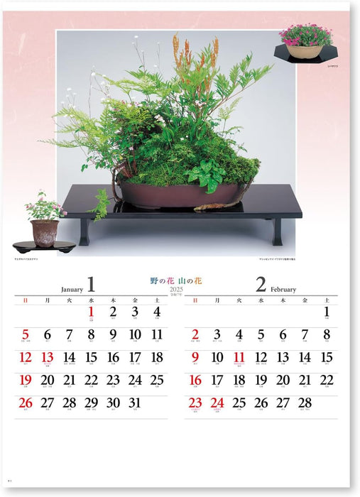 New Japan Calendar 2025 Wall Calendar Flower of Nature NK46