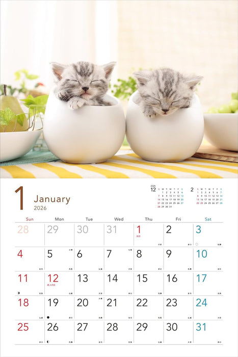 2026 Sleepy Kittens Calendar