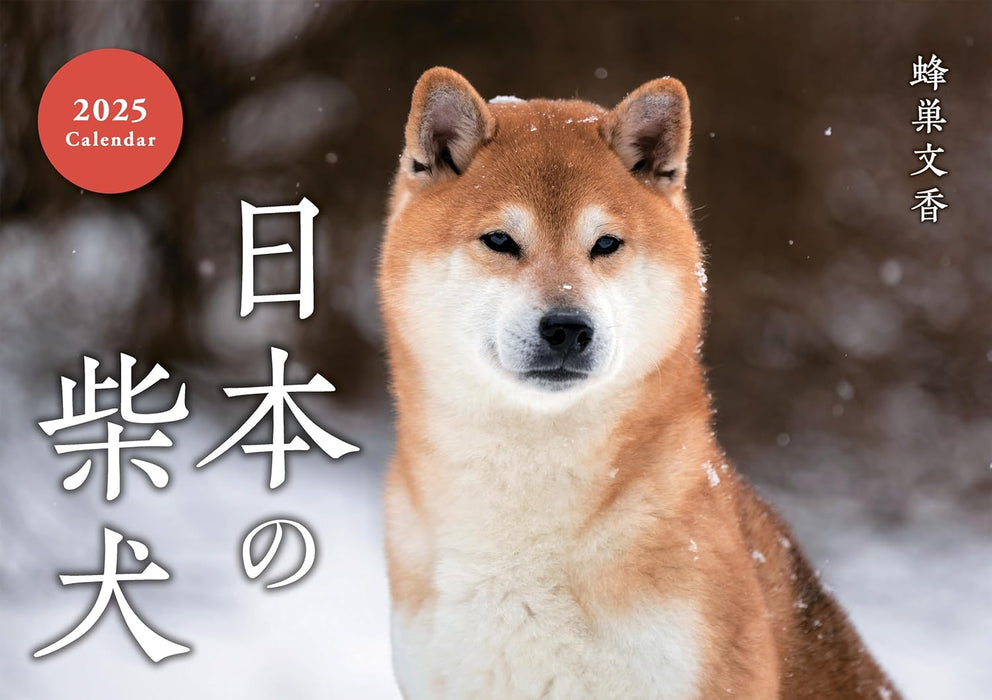 Japanese Shiba Inu Calendar 2025 (Wall Calendar)