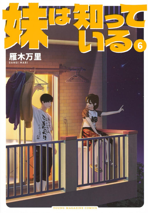 Imouto wa Shitteiru 6