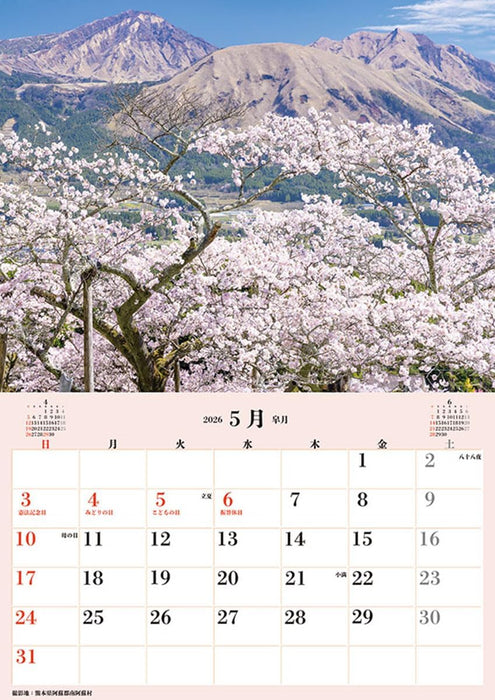 Try-X Jumbo 'Cherry Blossoms of Japan' Schedule 2026 Wall Calendar CL-471 B2