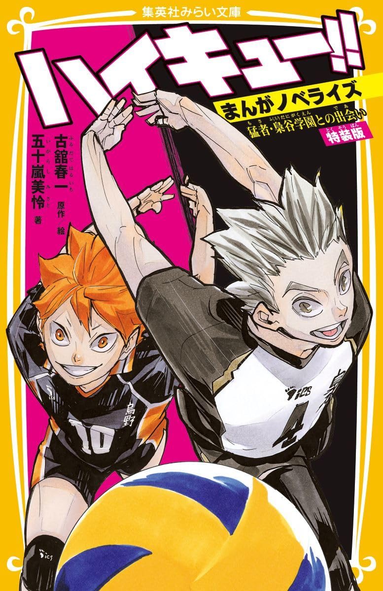 Haikyu!! Manga Novelize Mosa Fukurodani Gakuen tono Deai Special Edition