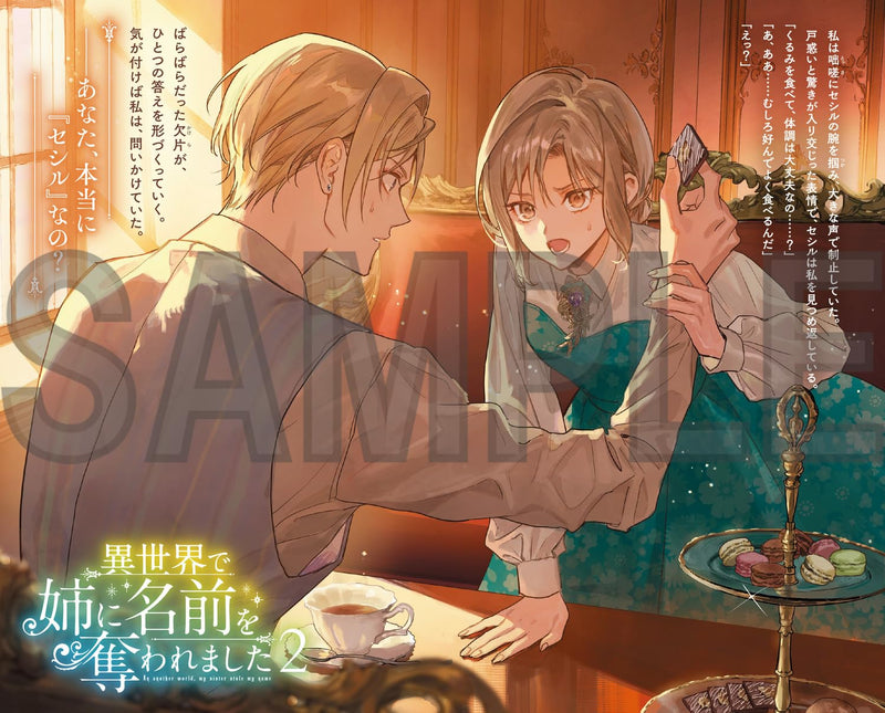 Isekai de Ane ni Namae wo Ubawaremashita 2 (Light Novel)
