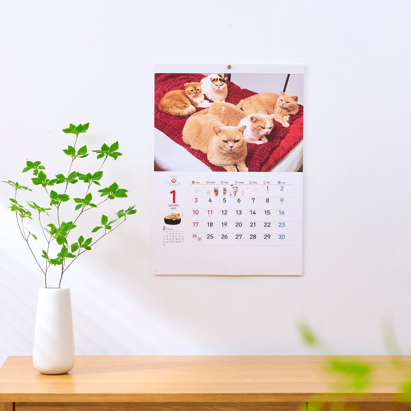 New Japan Calendar 2027 Wall Calendar Life with Cats Mikan to Jirousan Chi NK33