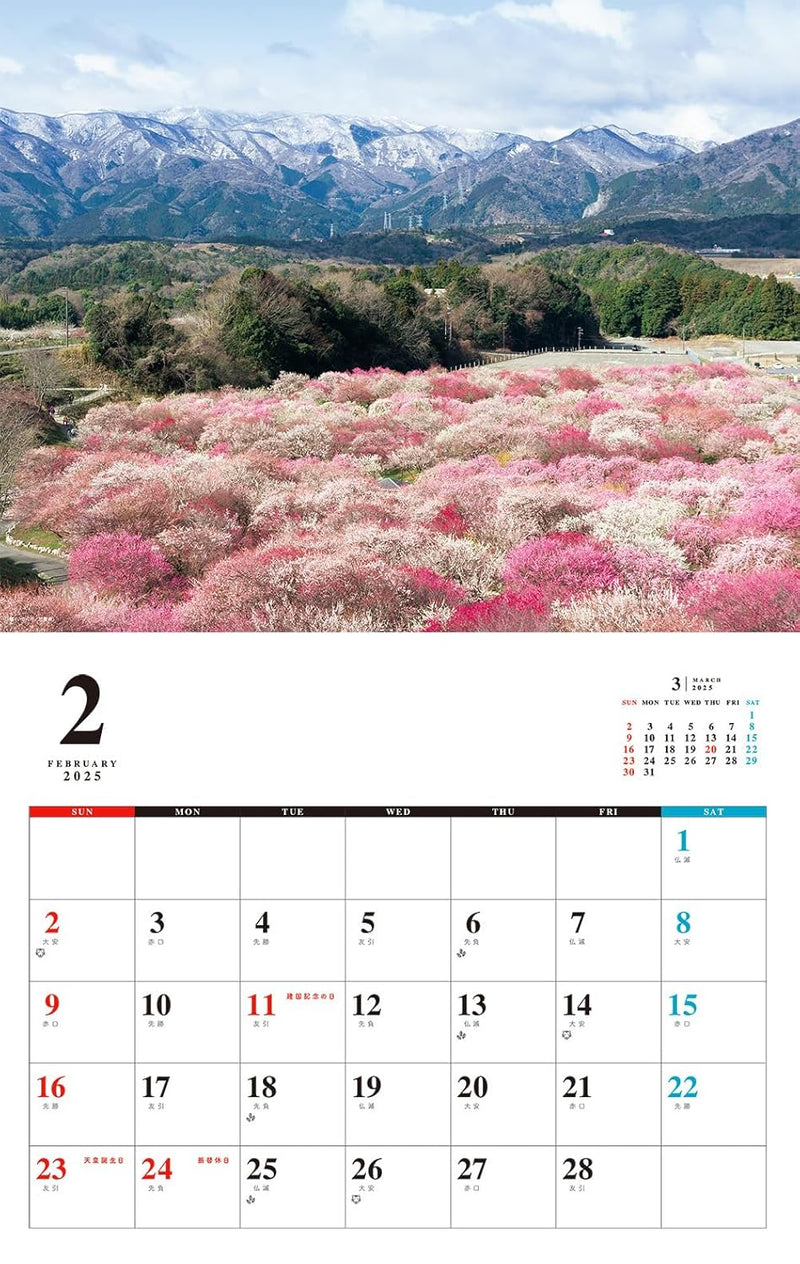 Relaxing Flowers Place Calendar 2025 (Monthly/Wall Calendar)