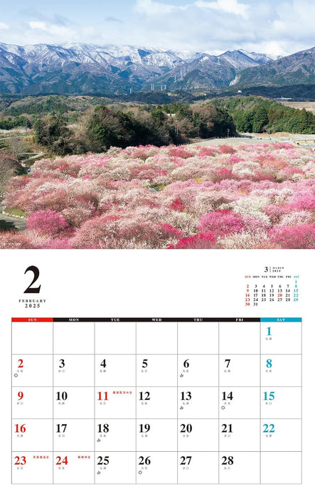 Relaxing Flowers Place Calendar 2025 (Monthly/Wall Calendar)