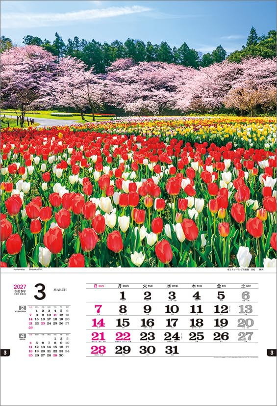 Todan 2027 Wall Calendar Japanese Beauty (Film) CL27-1043