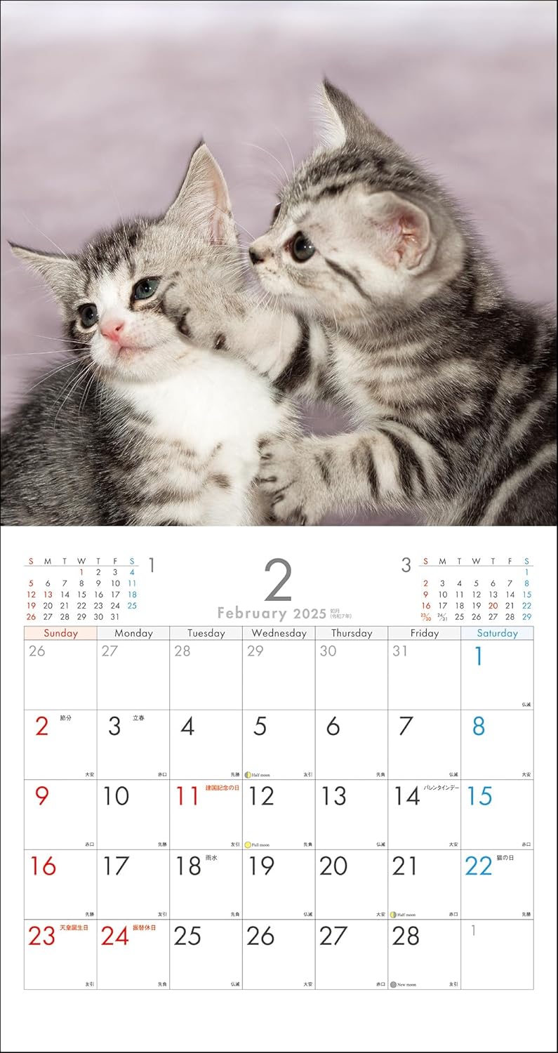 2025 Kitten Wall Calendar