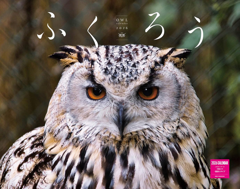 OWL Calendar 2026 (Monthly/Wall Calendar)