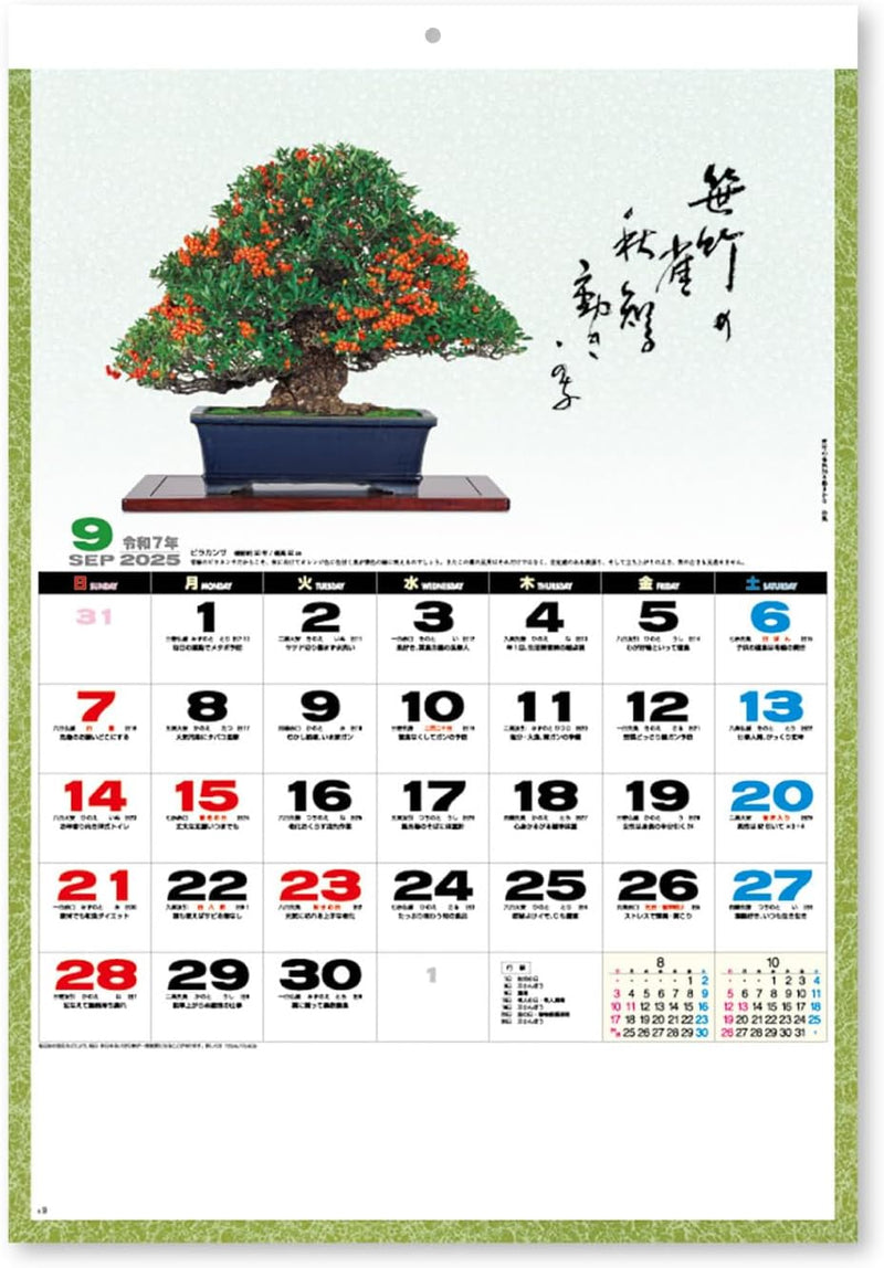 New Japan Calendar 2025 Wall Calendar Ichiboku Isso NK91