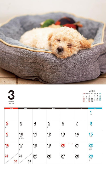 I LOVE Poodle Calendar 2025(Monthly/Wall Calendar)