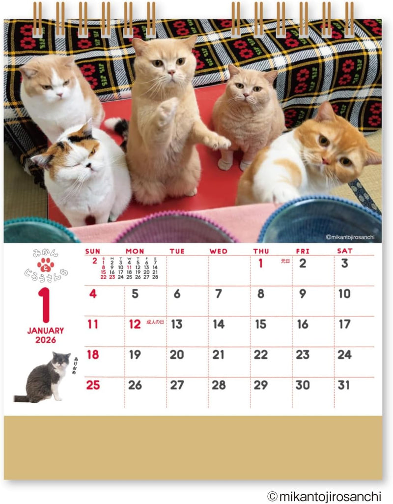 New Japan Calendar 2026 Desk Calendar Life with Cats Mikan to Jirousan Chi NK8527