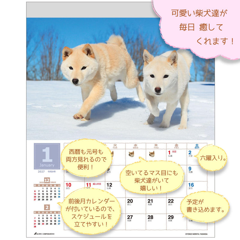 Active Corporation 2027 Wall Calendar Yoneo Morita Marugoto Shibainu 27ACL-11