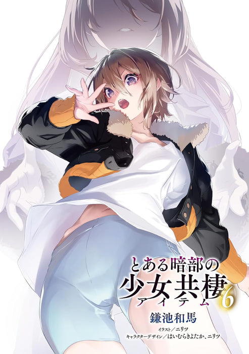 A Certain Item of Dark Side (Toaru Anbu no Item) 6 (Light Novel)