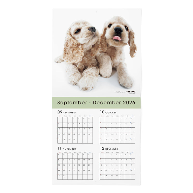 THE DOG 2027 Wall Calendar Large Size [American Cocker Spaniel]