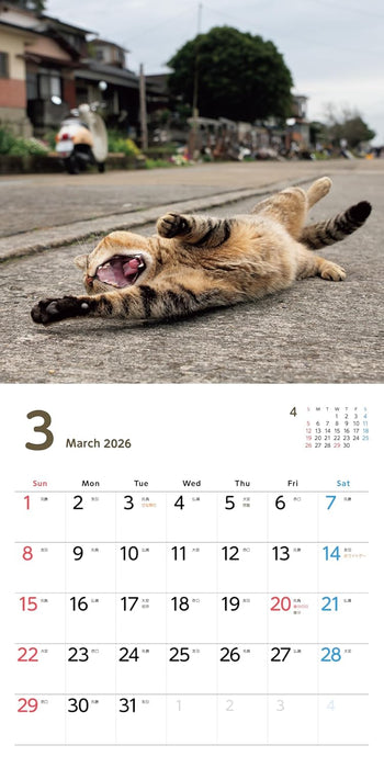 Nobi Neko Calendar 2026