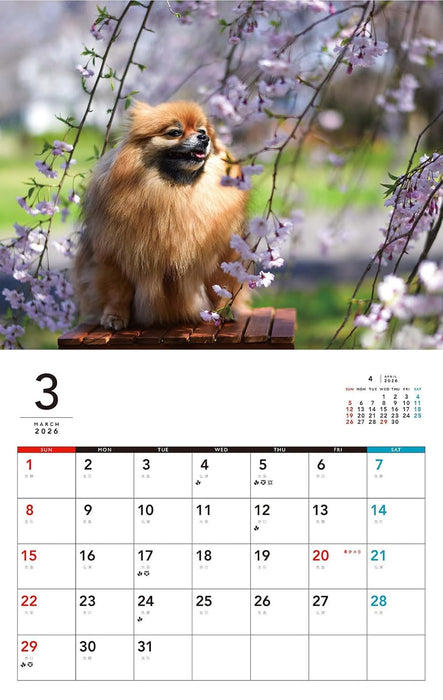 I LOVE Pomeranian Calendar 2026 (Monthly/Wall Calendar)
