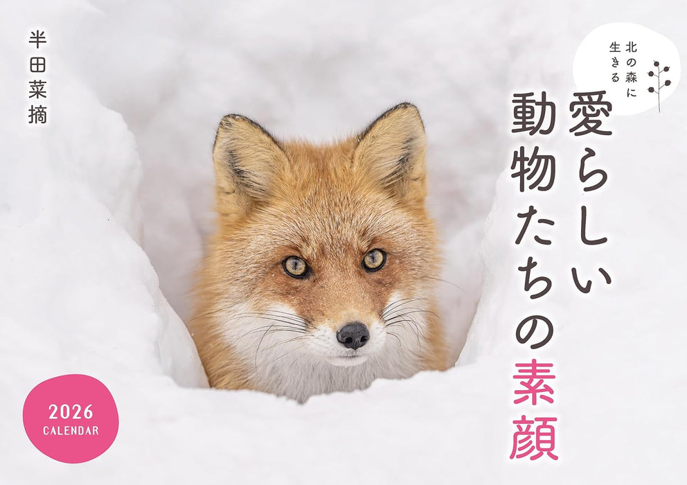 Adorable Wildlife of the Northern Forest Calendar 2026 (Wall Calendar)