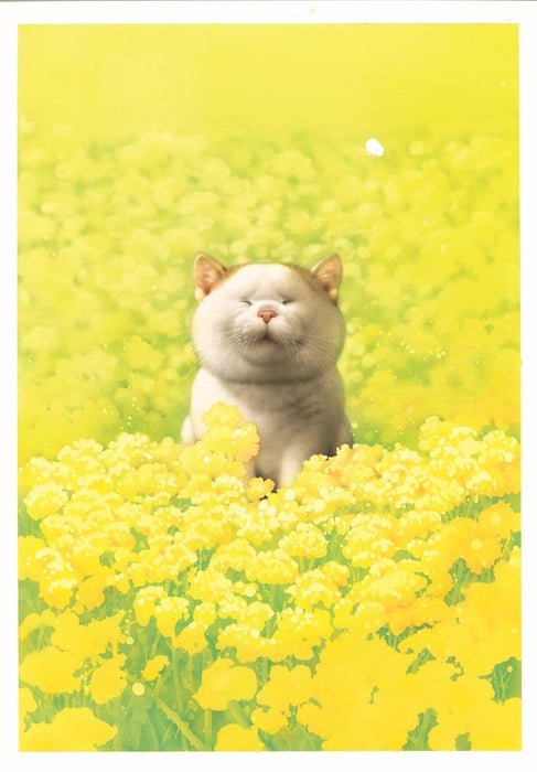 2026 Big Comic Original Makoto Muramatsu Cat Calendar