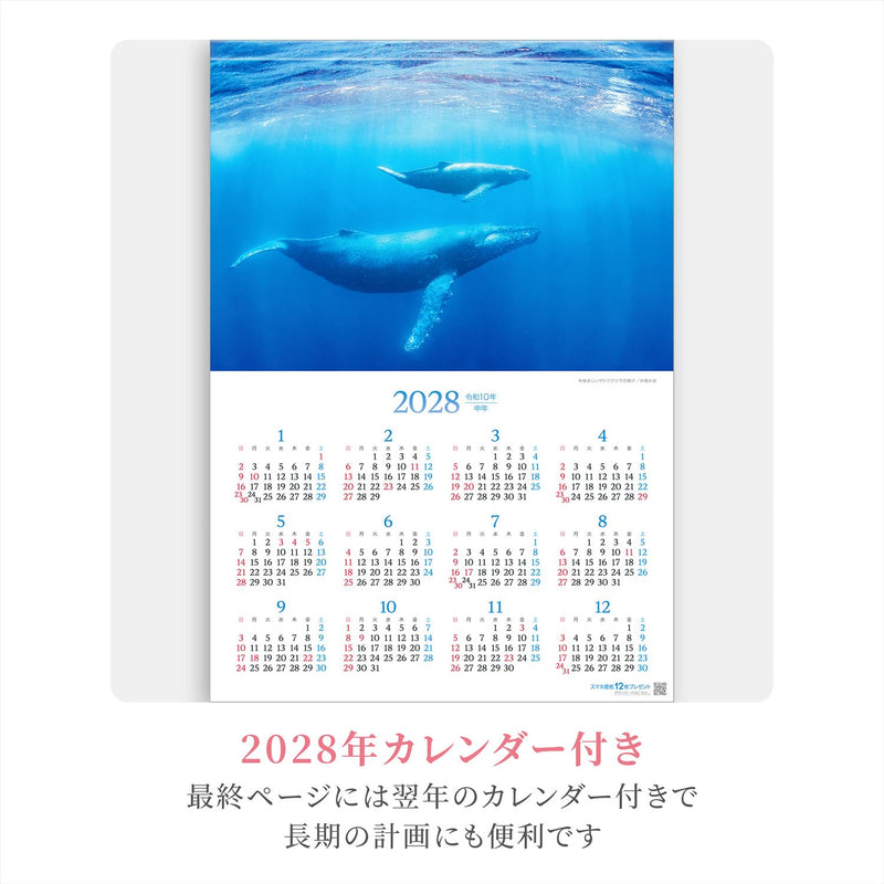 Shashin Koubou Calendar 'Okinawa Churaumi Monogatari' 2027 Wall Calendar (with Transparent Holder)
