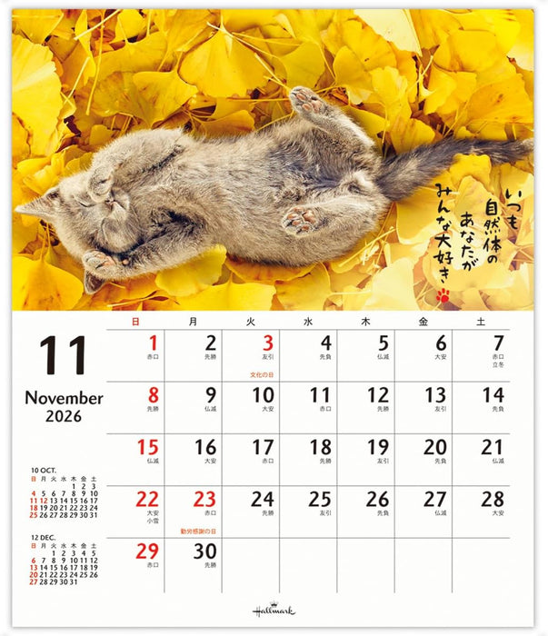 Hallmark 2026 Wall Calendar Homenyanko Small 845407