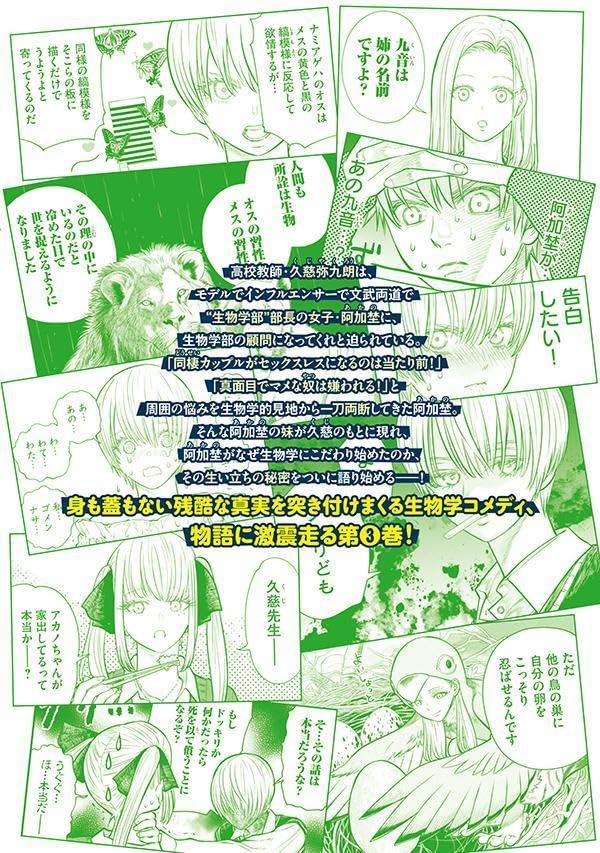 Akumade Kujaku no Hanashi desu. 3