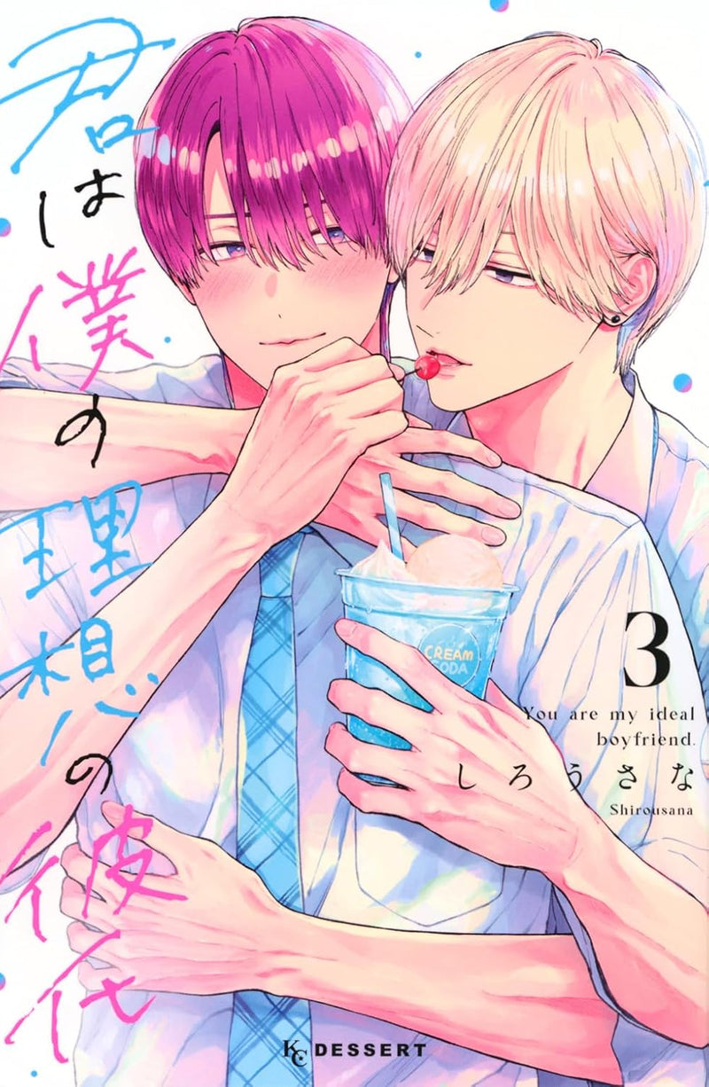 Kimi wa Boku no Risou no Kareshi 3