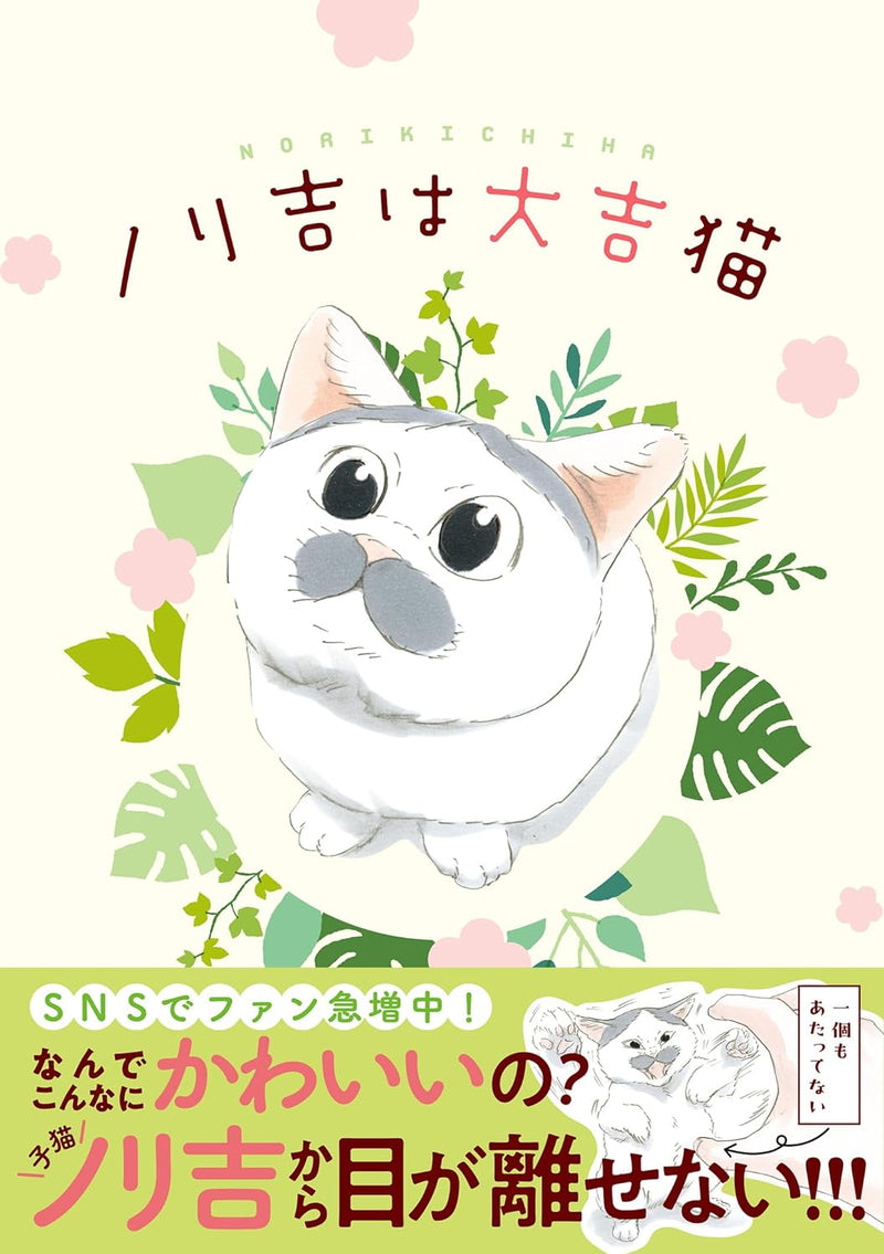 Norikichi wa Daikichi Neko