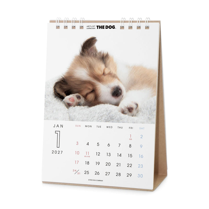 THE DOG 2027 Desk Calendar [Shetland Sheepdog]