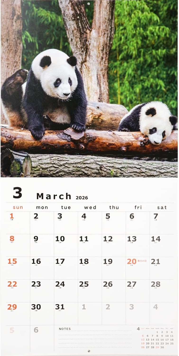Greeting Life 2026 Wall Calendar Panda C-1668-PA