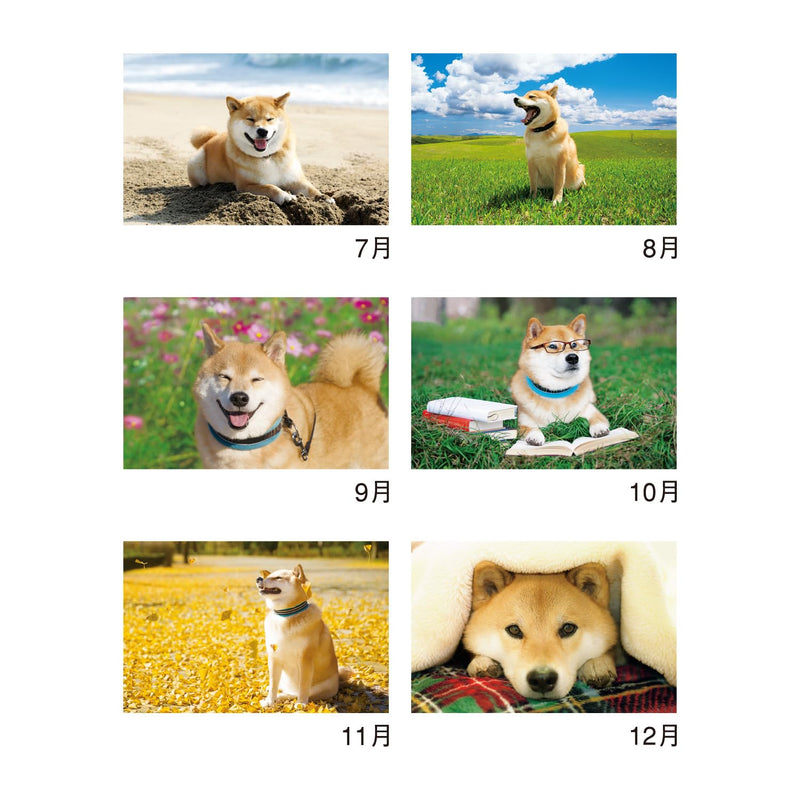 New Japan Calendar 2027 Wall Calendar Walk with Shiba Inu Maru Calendar NK35