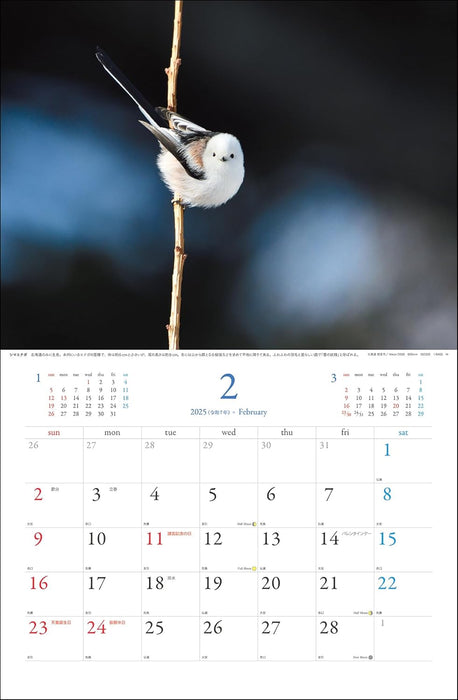 2025 Wild Birds Calendar (Wall Hanging)