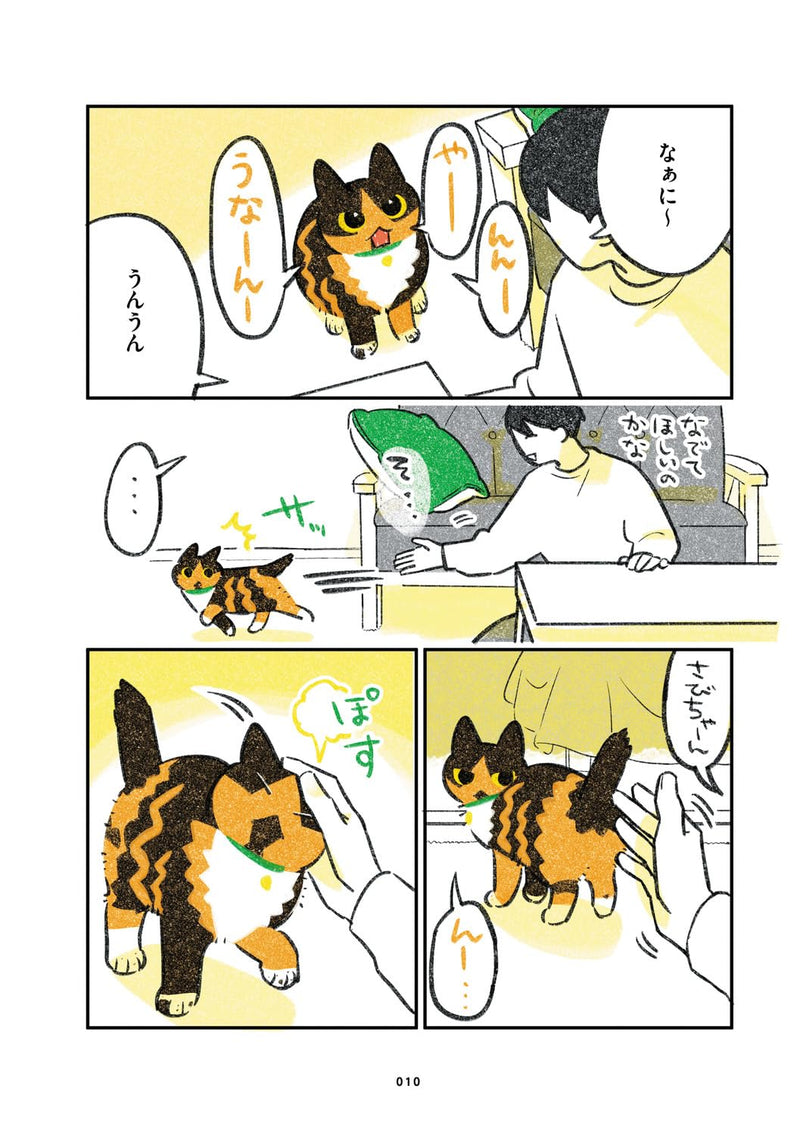 Hibi Neko Nikki