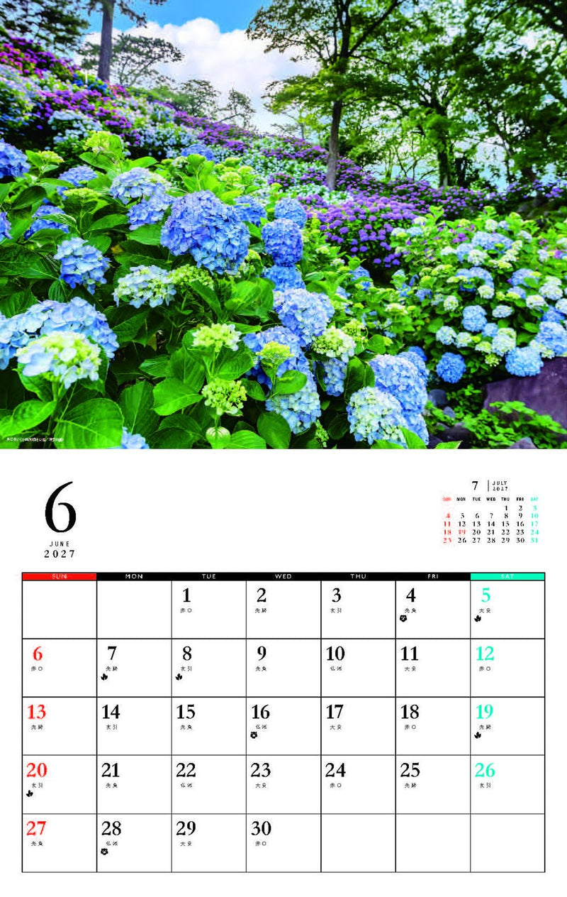 Relaxing Flowers Place Calendar 2027 (Monthly/Wall Calendar)