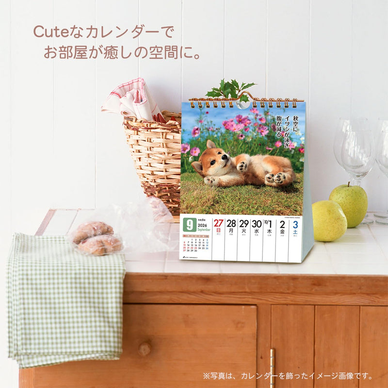 Active Corporation 2026 Desk Calendar Datte Shiba Damono. 26ACL-566