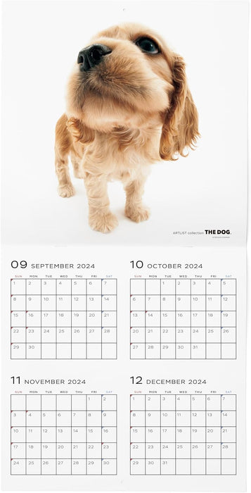 THE DOG 2025 Wall Calendar Large Size [American Cocker Spaniel]