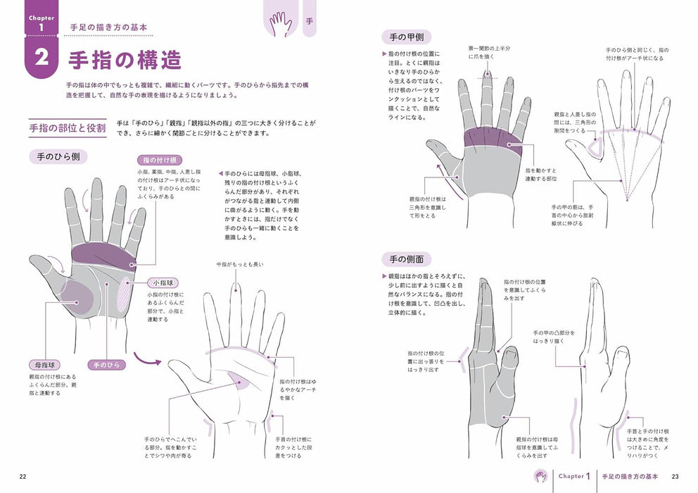 First BL Drawing How to Draw Hands and Feet