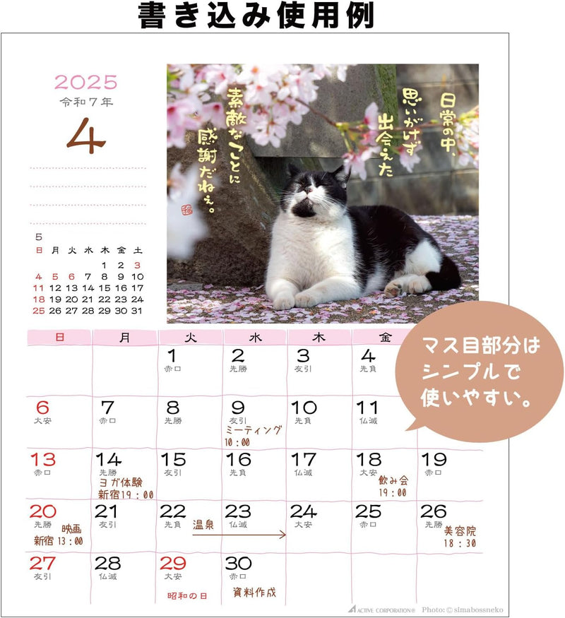 Active Corporation 2025 Desk Calendar Hinatabokko Neko Dayori 25ACL-539