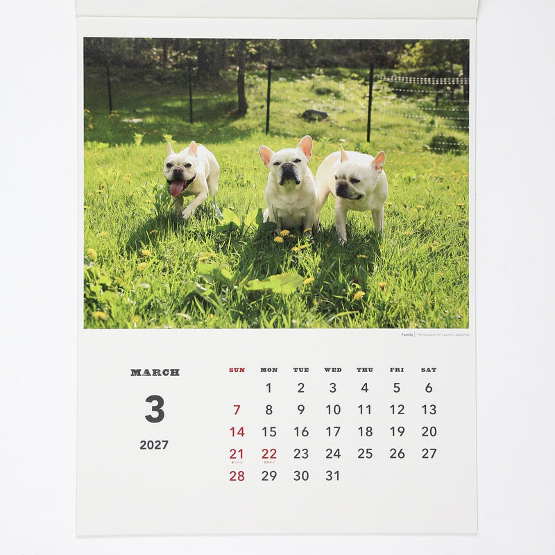 Noritsu NOLTY 2027 Desk Calendar 21 B6 C214