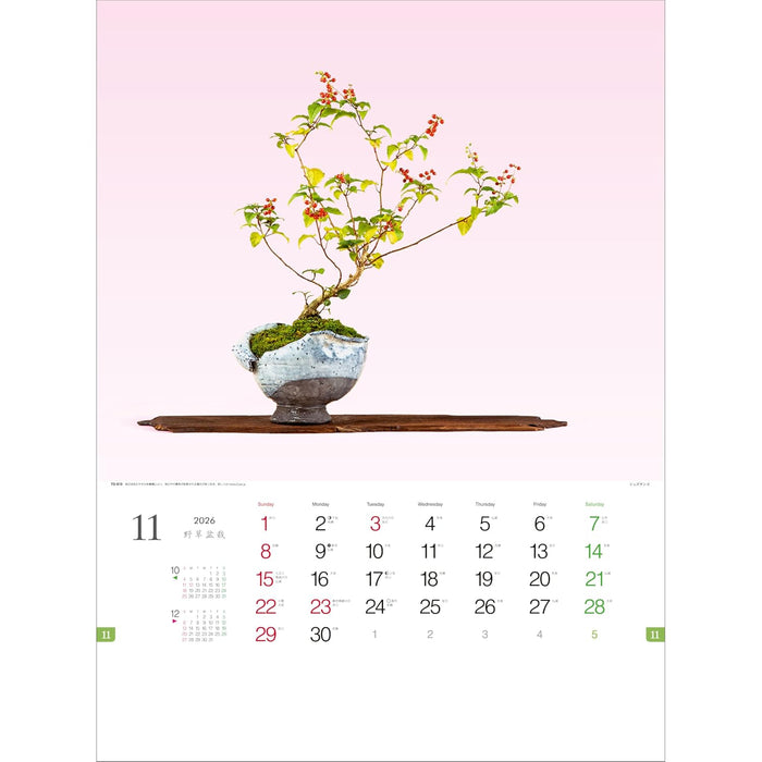 Todan 2026 Wall Calendar Wildflower Bonsai 53.5 x 38cm TD-819