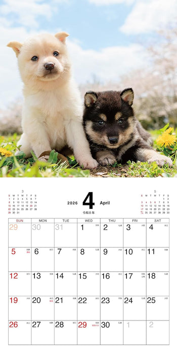 Mameshiba no Kimochi Calendar 2026