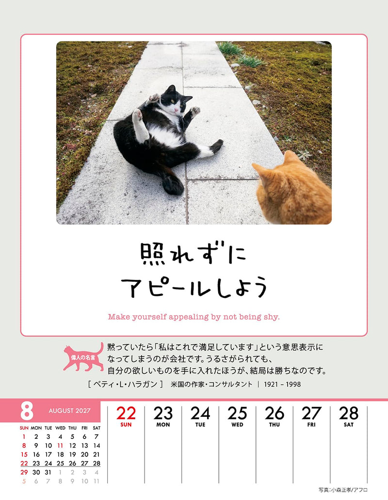 Try-X Life Works Itself Out! 2027 Desk Wall Calendar 27CL-384 18 x 14cm