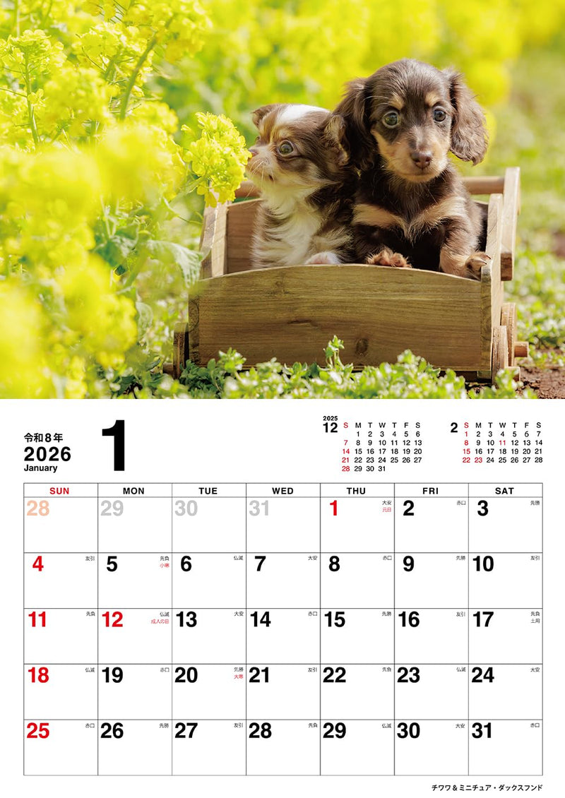 Koinu no Kimochi Calendar 2026