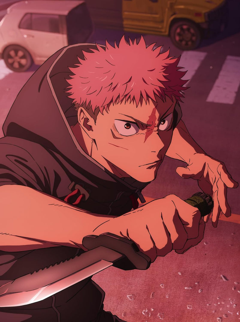 Jujutsu Kaisen Shimetsu Kaiyuu Part 1 DVD Vol.1 Limited First-Press Edition