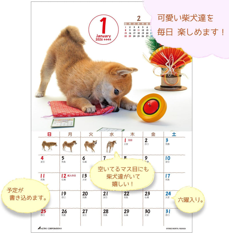 Active Corporation 2026 Desk Calendar Yoneo Morita Marugoto Shibainu 26ACL-543