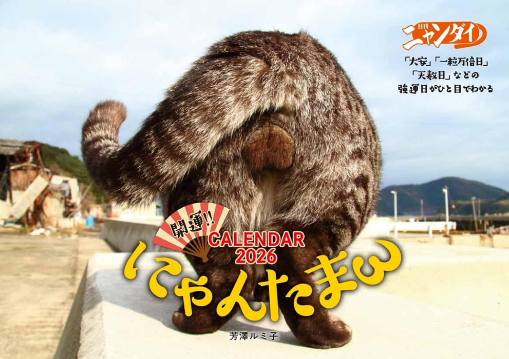 Hagoromo Good Luck!! Nyantama 2026 Wall Calendar Rumiko Yoshizawa CL26-0395