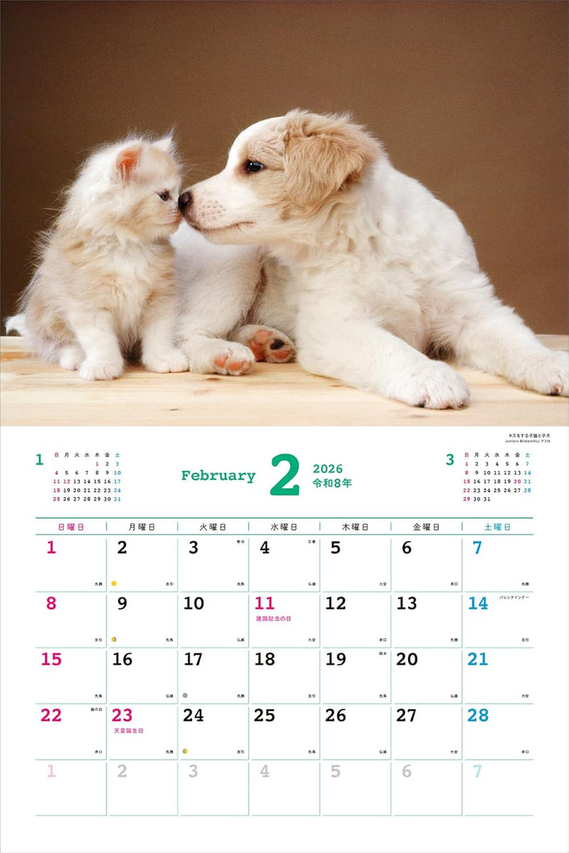 2026 Best Friends: Dogs and Cats Calendar