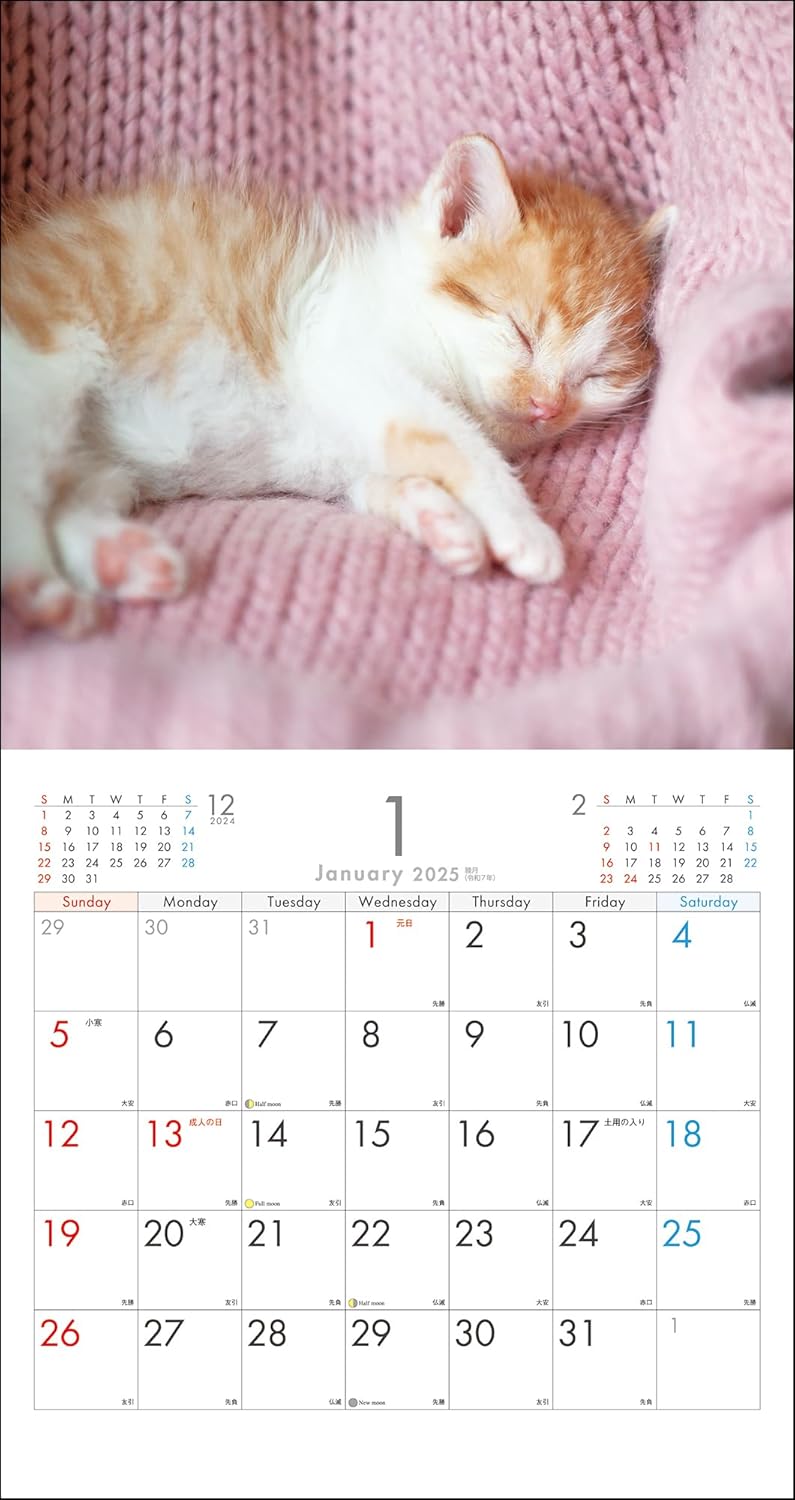 2025 Kitten Wall Calendar
