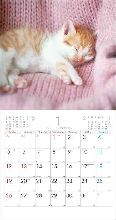 2025 Kitten Wall Calendar